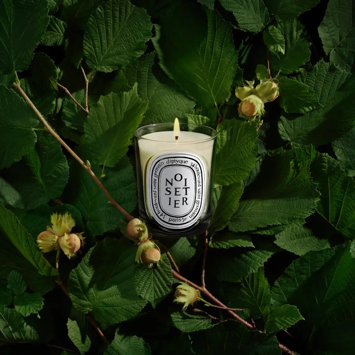 DIPTYQUE - Noisetier (Hasel) - Duftkerze
