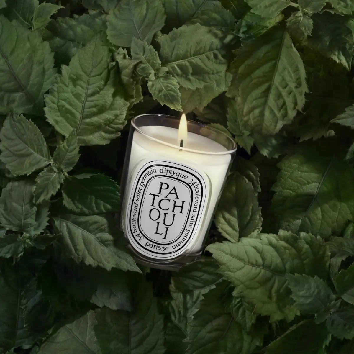 DIPTYQUE - Patchouli (Patschuli) - Duftkerze