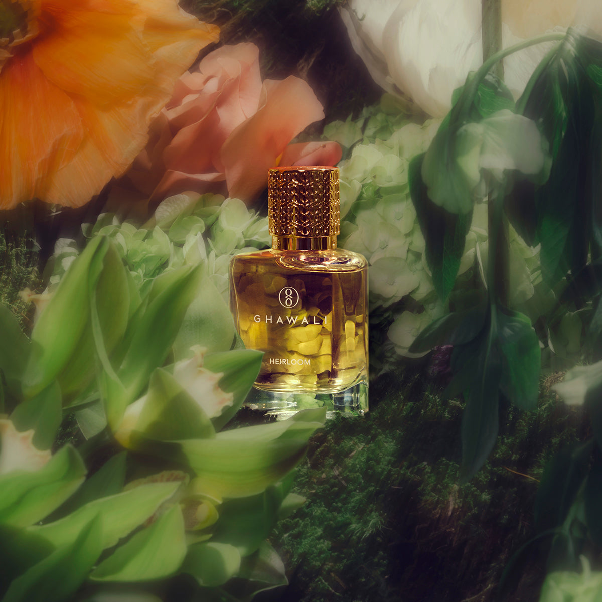 Ghawali | Parfum | Heirloom