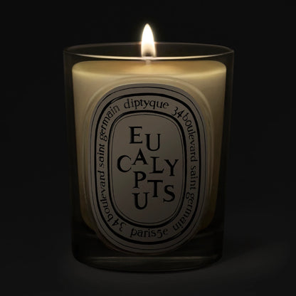 DIPTYQUE - Eucalyptus (Eukalyptus) - Duftkerze