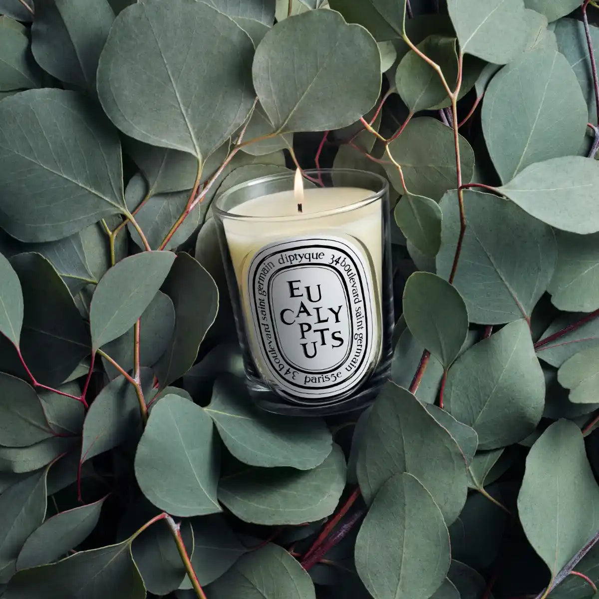 DIPTYQUE - Eucalyptus (Eukalyptus) - Duftkerze