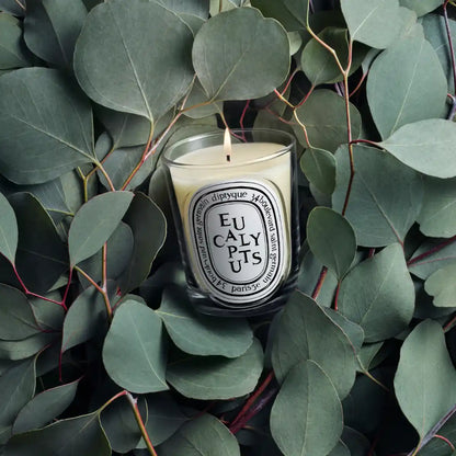 DIPTYQUE - Eucalyptus (Eukalyptus) - Duftkerze