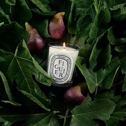 DIPTYQUE - Figuier (Feigenbaum) - Duftkerze