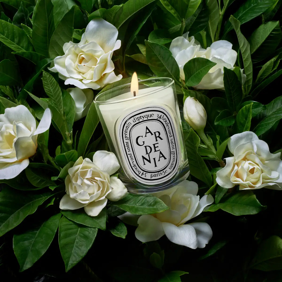 DIPTYQUE - Gardenia (Gardenie) - Duftkerze