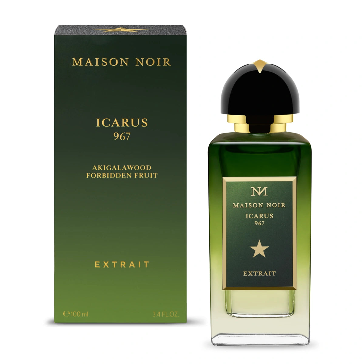 Maison Noir - Icarus 967