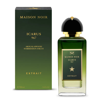 Maison Noir - Icarus 967