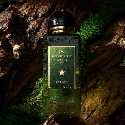 Maison Noir - Icarus 967