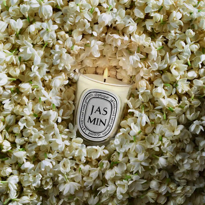 DIPTYQUE - Jasmin - Duftkerze