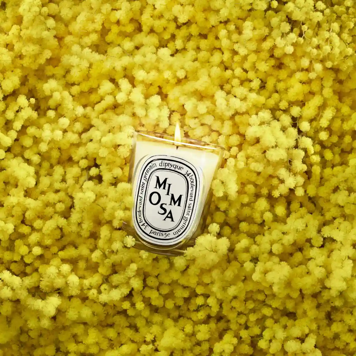 DIPTYQUE - Mimosa (Mimose) - Duftkerze