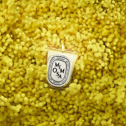 DIPTYQUE - Mimosa (Mimose) - Duftkerze