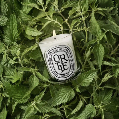 DIPTYQUE - Ortie (Brennnessel) - Duftkerze