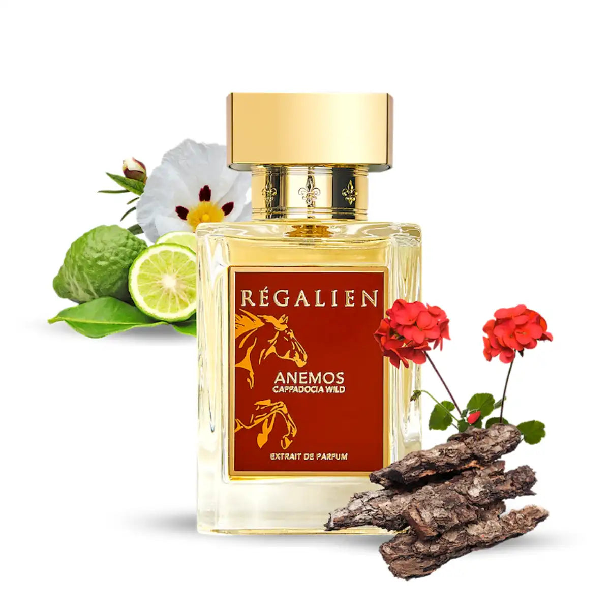 Regalien - Anemos