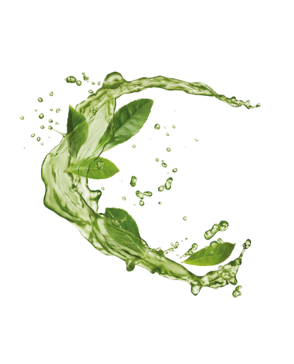 By Terry - Matcha Mist Elixir