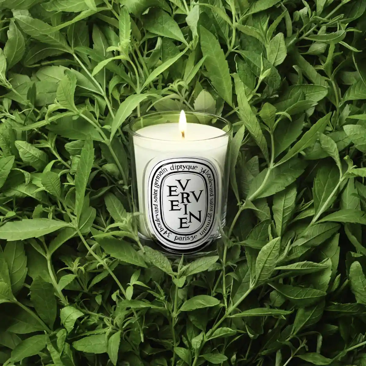 DIPTYQUE - Verveine (Eisenkraut) - Duftkerze