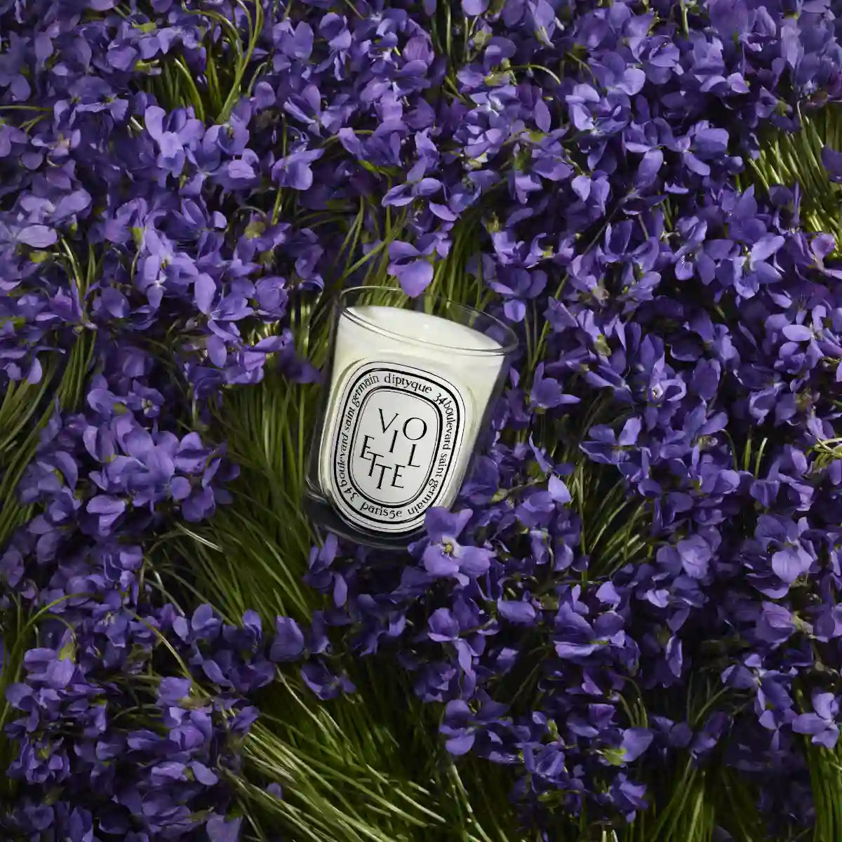 DIPTYQUE - Violette (Veilchen) - Duftkerze