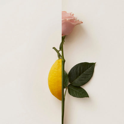 New Notes - Contemporary Blend Collection - Rosa Limone